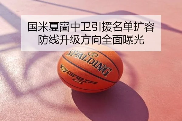 国米夏窗中卫引援名单扩容 防线升级方向全面曝光