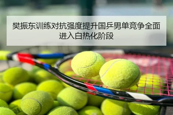 樊振东训练对抗强度提升国乒男单竞争全面进入白热化阶段