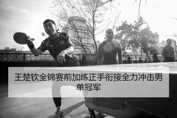 王楚钦全锦赛前加练正手衔接全力冲击男单冠军