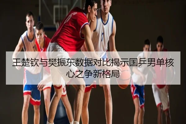 王楚钦与樊振东数据对比揭示国乒男单核心之争新格局